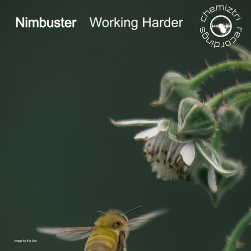 Nimbuster - Working Harder [CHM278]